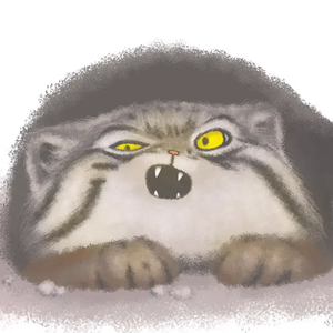 午夜黄片福利视频
