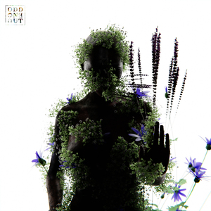 两个男生互吃脱裤子的网站
