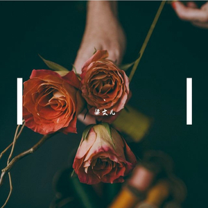 午夜黄片福利视频
