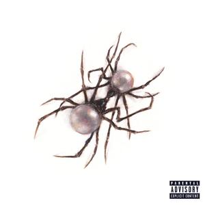 午夜黄片福利视频
