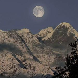 印度美女狂野性交
