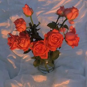 欧美性猛交XXXⅩ丝袜
