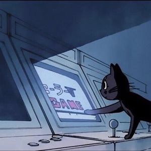 印度美女狂野性交
